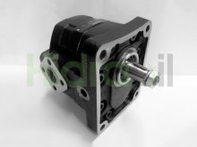 Thumbnail of KM30.34L0-83E3-LEB/ED-N Casappa hydraulic gear motor 34 cm3 tapered shaft and side drain