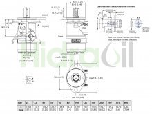 Thumbnail of 11186725 OMP X 100 Sauer Danfoss hydraulic orbital motor 100 cm3 with 25 mm parallel shaft