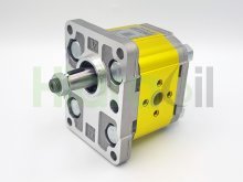 Thumbnail of X2P6302EQPA Vivolo hydraulic gear pump 40 cm3 with tapered shaft flange ports CW rotation Vivoil