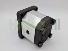 Thumbnail of 1G16CDE10R Roquet hydraulic gear pump 16 cm3 tapered shaft and BSP ports