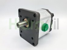 Image 1ML22RC31R Roquet hydraulic gear motor bidirectional